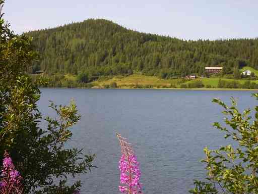 High coast area