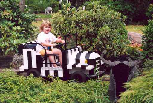 Safari ride