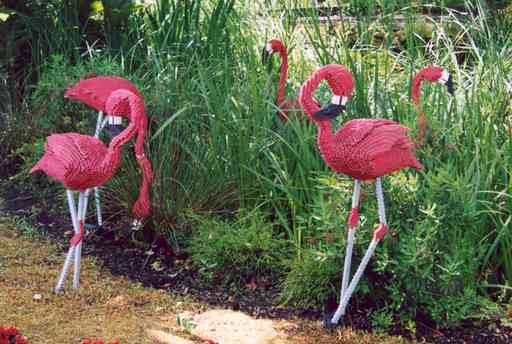 Flamingo's